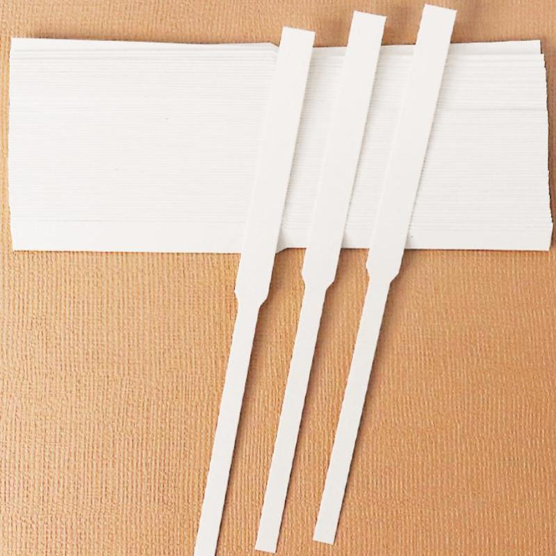 Fragrance Home Decor - 100 Strisce Assorbenti Premium per Test