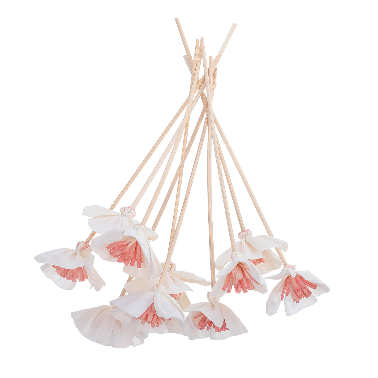 Home Fragrance - 10 Bastoncini Diffusori per Oli Essenziali