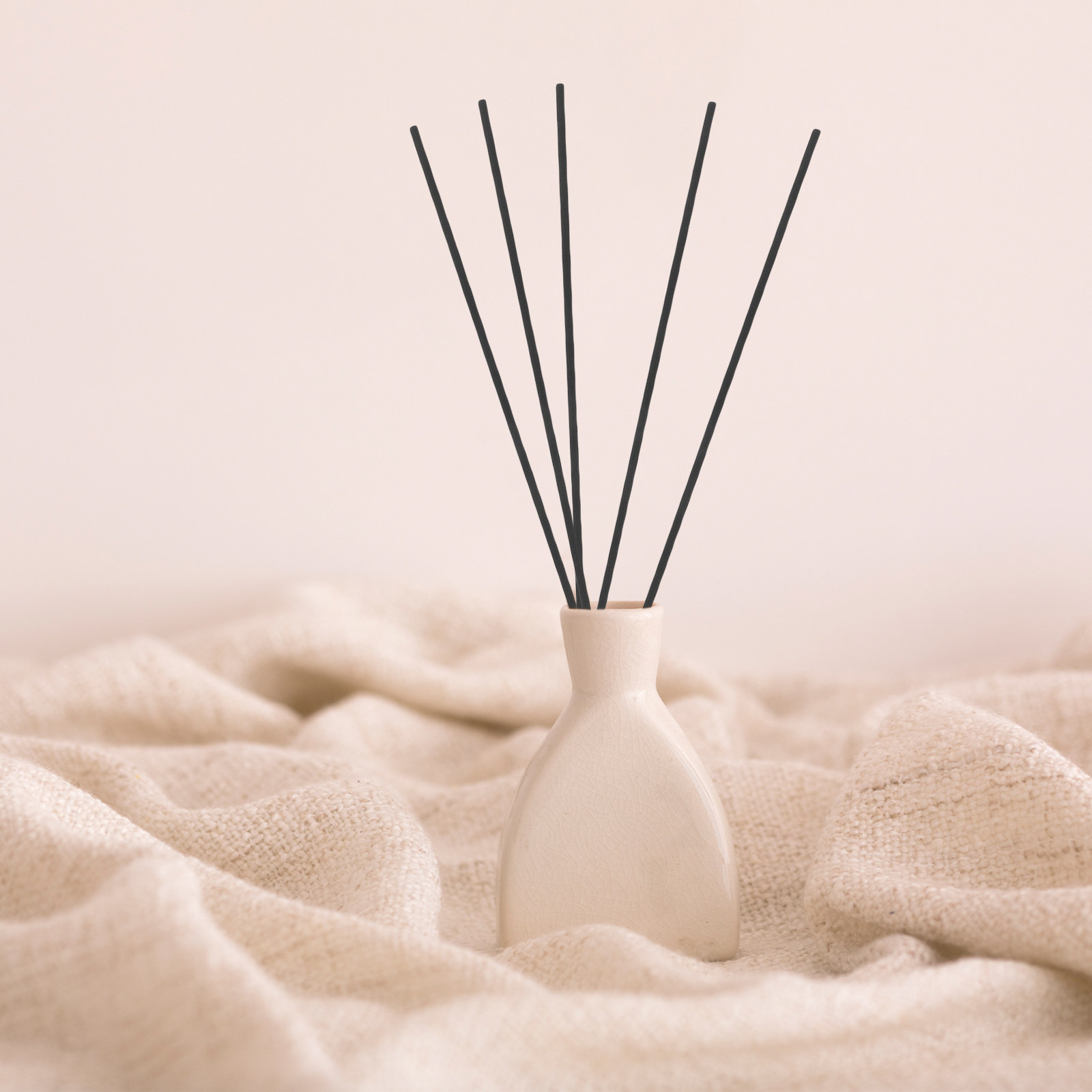 Home Fragrance - 100 Pezzi Bastoncini Diffusori in Fibra