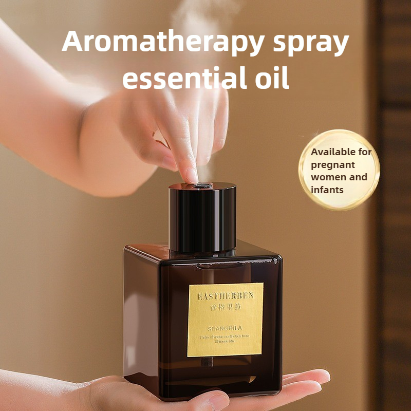 Diffusore di Aromi da 500ml, D - Home Fragrance Ideas recensione e prezzo