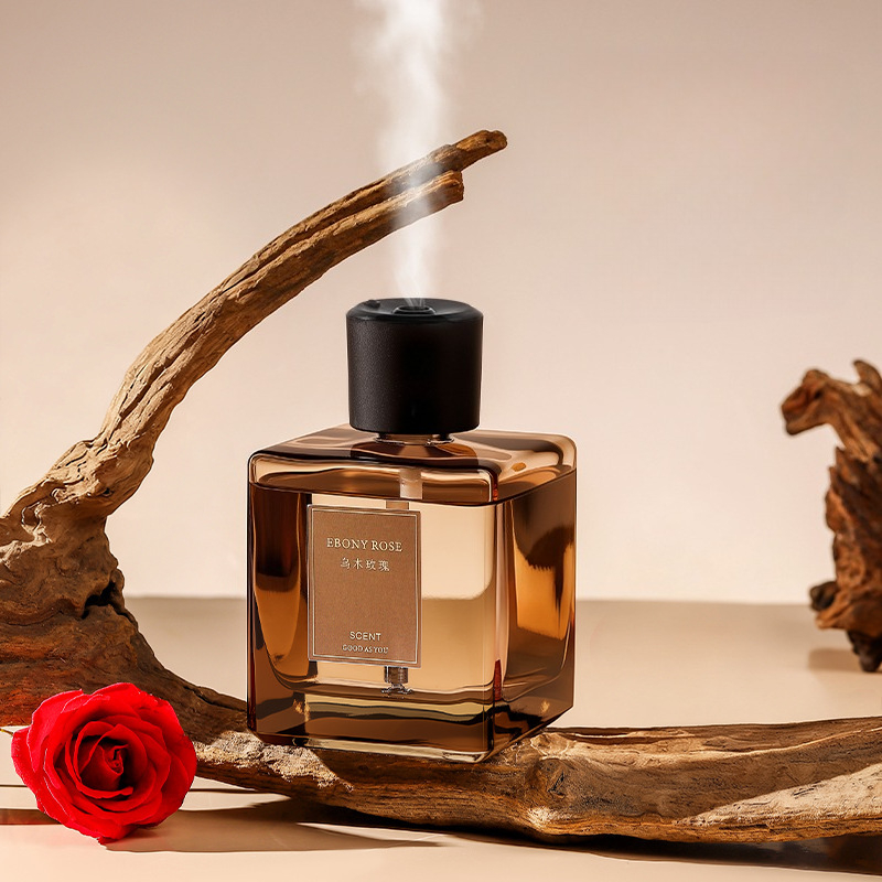 Diffusore di Aromi da 500ml, D - Home Fragrance Ideas recensione e prezzo