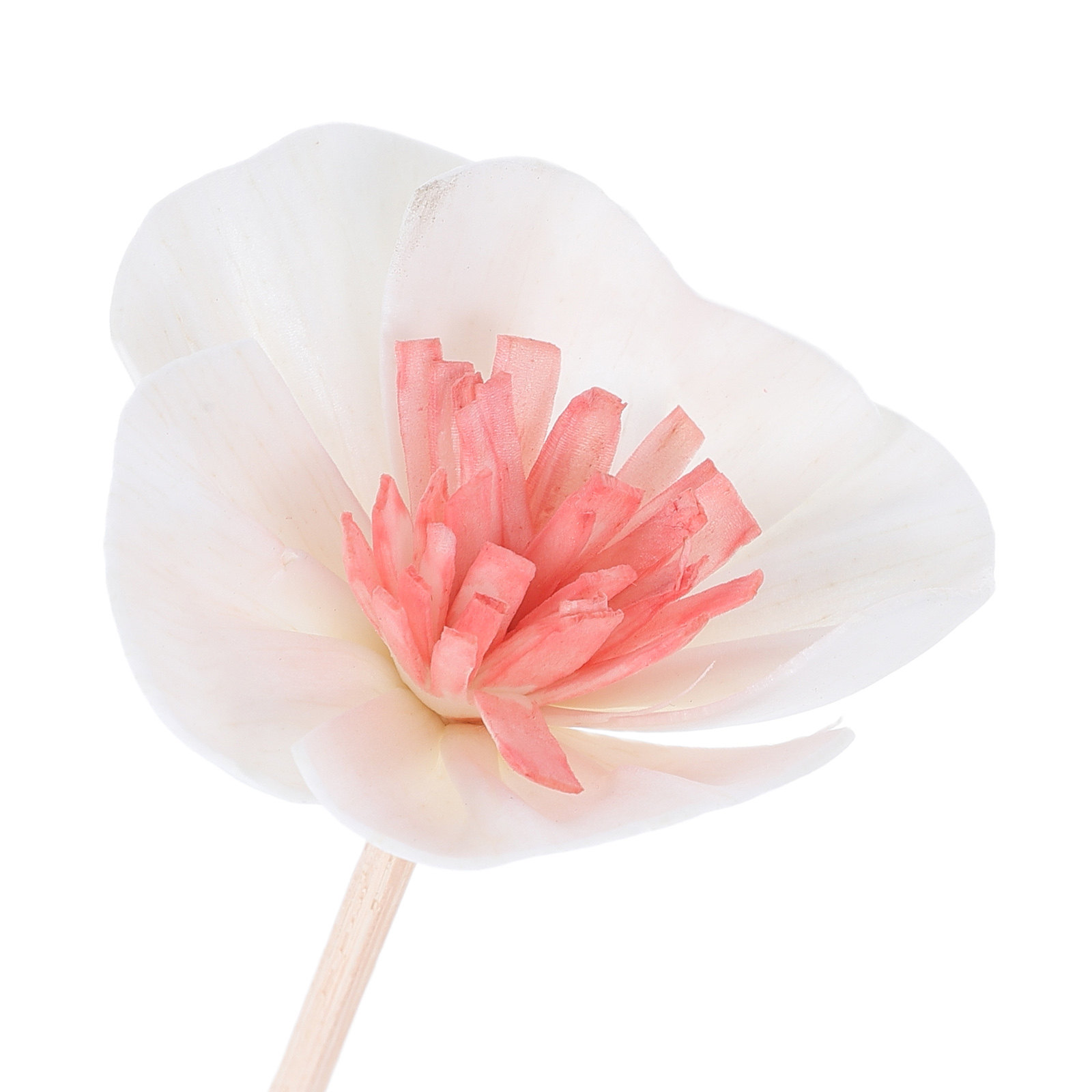 10 Bastoncini Diffusori per Ol - Home Fragrance recensione e prezzo